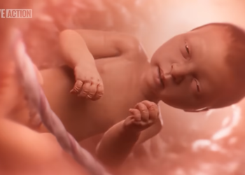 Coop-Gonzalez Introduces “Baby Olivia Act” to Promote Pro-Life Education in Public Schools