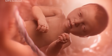 Coop-Gonzalez Introduces “Baby Olivia Act” to Promote Pro-Life Education in Public Schools