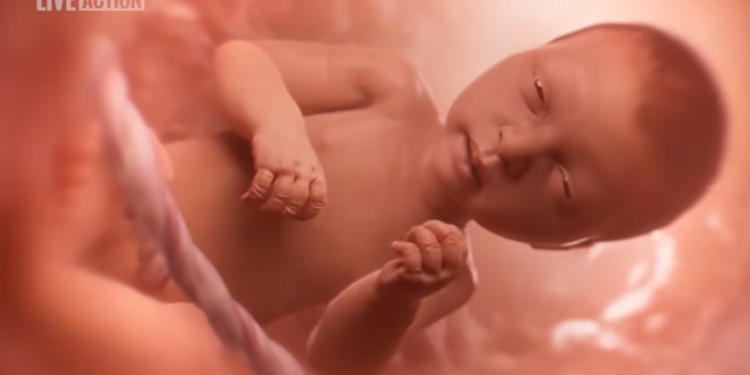 Coop-Gonzalez Introduces “Baby Olivia Act” to Promote Pro-Life Education in Public Schools