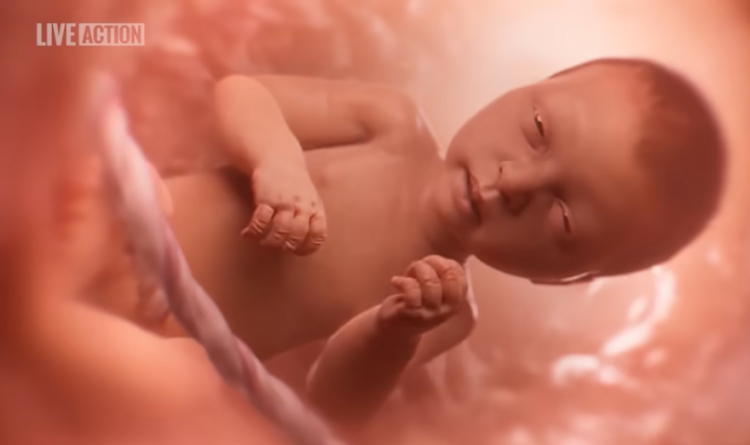 Coop-Gonzalez Introduces “Baby Olivia Act” to Promote Pro-Life Education in Public Schools